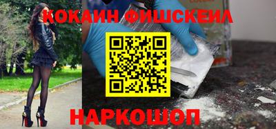 крисы Можга