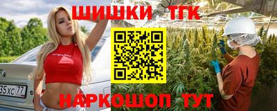 крисы Можга