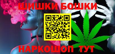 крисы Можга