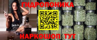 крисы Можга