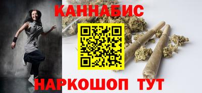 крисы Можга