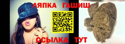 крисы Можга