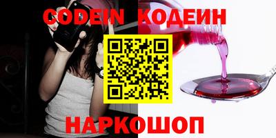 крисы Можга