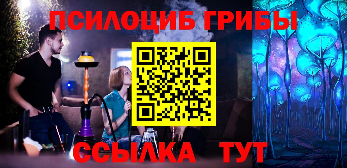 Псилоцибиновые грибы Psilocybine cubensis Тихвин